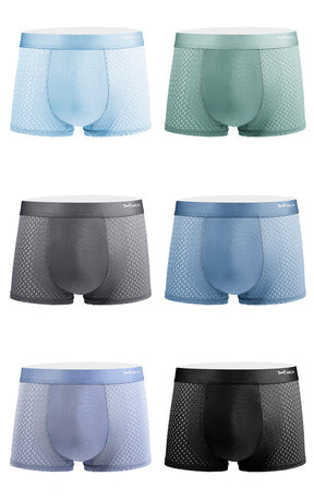 Men's Ice Silk Mesh and Modal Trunks (6-Pack)