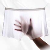 3D Seamless Pouch - Men's Ultra Thin Seamless Ice Silk Underpants (5-Pack)