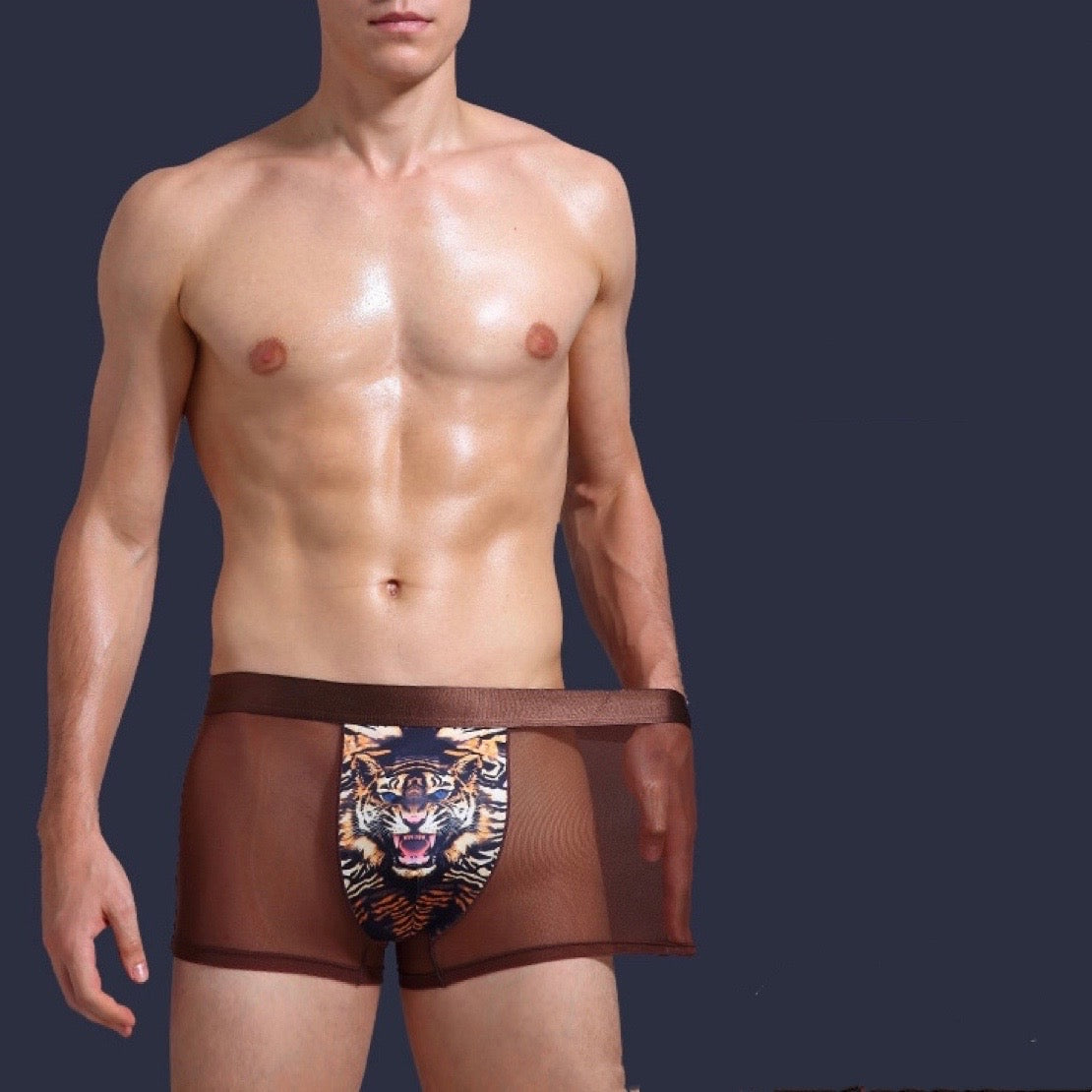 Men's Tiger Printed 3D Pouch  Mesh Trunks (6-Pack)