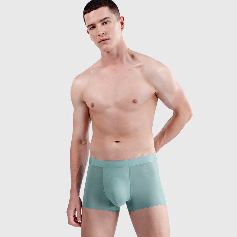 Ultra Thin Seamless Ice Silk Mesh Underpants for Men (3 or 6-Pack)