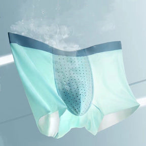 Breathable Mesh Pouch - Men's Ice Silk Trunks (6 pack)